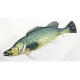 EnergoTeam The Murray Cod 100cm Rybí Polštář