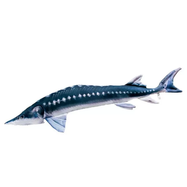 EnergoTeam The European Sturgeon 36cm Rybí Polštář