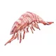 EnergoTeam The Tiger Prawn 65cm Rybí polštář