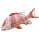EnergoTeam The Red Emperor 80cm Rybí polštář