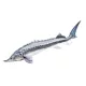 EnergoTeam The Beluga Sturgeon 140cm Rybí Polštář