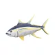 EnergoTeam The Monster Yellowfin Tuna 160cm Rybí polštář