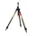 Carp Expert Method stativ