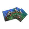 Delphin Koberec 3D okoun 60x40cm