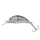 Salmo Wobler Hornet Wobler SWS 25mm - 1,5gr