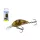 Salmo Rattlin Hornet H3 5F CPS 3,5cm 3,1gr Wobler