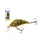 Salmo Rattlin Hornet Mělký GFB 4,5cm 5,5gr Wobler