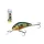 Salmo Rattlin Hornet H5 5F SNP 5,5cm 10,5gr Wobler