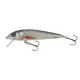 Salmo Wobler Minnow D 50mm - 3gr
