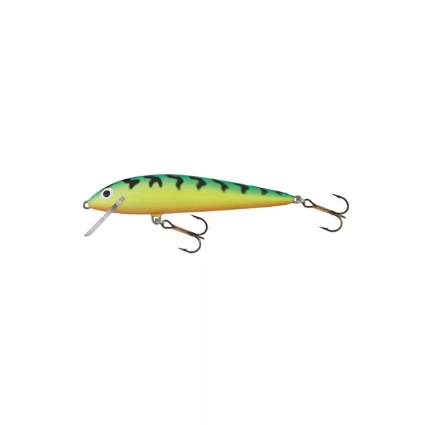 Salmo Wobler Minnow GT 60mm - 4gr