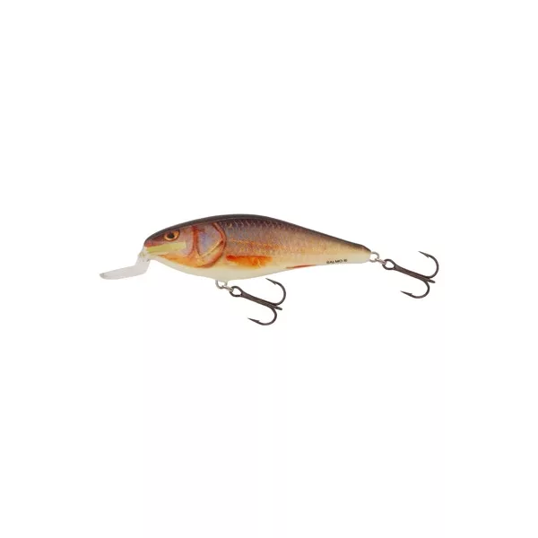 Salmo Woblerek Executor Woblerek RR 50mm - 5gr