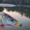 Reiva 0,30mm 40cm Fluorocarbon Návazec 2ks