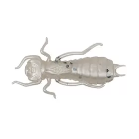 Wizard LARVA COL. 001 6PCS/BAG Gumová nástraha