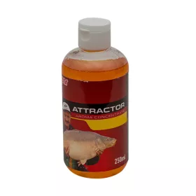 Benzár Mix Aromakoncentrát Panettone 250Ml