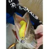 Nevis Twister Shad Vantage Perch 9cm 6,56gr zeleno-bílý plastová nástraha 3ks