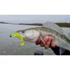 Nevis Impulse Shad 7,5cm 3,05gr 5ks/balení Růžové Třpytivé Plastové návnady