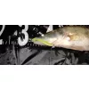 Reiva Candát Power Shad 10cm 7,05gr 4ks/balení (Fluo zelená třpytka I.) Plastová nástraha