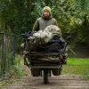Bunda Avid Arctic-Series Sherpa Fleece S