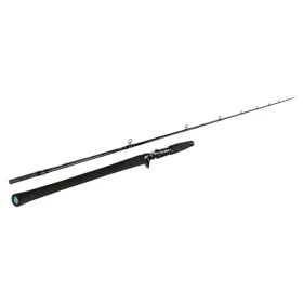   Sportex Black Arrow G4 Musky Baitcast 2,60m 300gr 2dílný Casting přívlačový prut