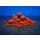 BaitBait Probouzející Síla 22mm Limitovaná Edice Silně Kořeněné Rozpustné Boilie 1kg