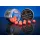 BaitBait Probouzející se Síla 10mm Fluo Pop Up 20gr