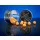BaitBait Ohnivá Broskev 8mm Fluo Pop Up 20gr