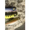Black Cat Mega Curl Tail Shock Perch 22cm 29gr Plastová nástraha