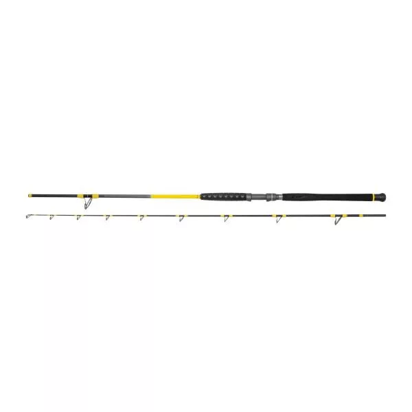 Black Cat Freestyle Pro Bank 150-300gr 2,80m 2dílný sumcový prut
