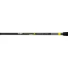 Black Cat Perfect Passion X Casting 2,20m 30-150gr 2dílný Přívlačový prut