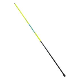 Evasion Pole 2,00m 5-20gr 2 dílný Bič