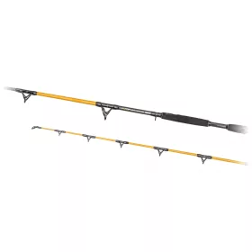 Predator Z Catzoom Brutal 3,30m 850gr 2dílný Prut na sumce