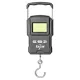 Carp Zoom USB Power Váha 75kg