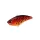 Duo Realis Apex Vibe F85 8,5cm 25gr CCC3069 Red Tiger Potápivý Wobbler