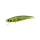 Duo Spearhead Ryuki 71S 7,1cm 10gr ADA4059 Green Gold OB Potápivý Wobler