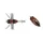 Duo Realis Shinmushi 4,0cm 5,7gr CCC3219 Beetle Imitace brouka