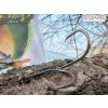 Sasame Boil GX Háček na boilies velikosti 2, s očkem a protihrotem, 7ks
