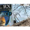Sasame Boil RX 4 Háček s očkem a protihrotem pro lov kaprů 10ks