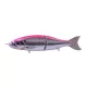 Babyface BB180-SF 18cm 80gr 30 Chart Back Konoshiro Wobler