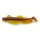 Iron Claw Wave Glider LPK 16cm 31gr Lebegő Gumihal 3db