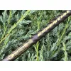 Garbolino Essential X-Tend Perfect Match 3,90-4,20m Match Prut