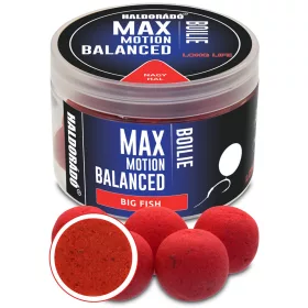   Haldorádó Max Motion Boilie Vyvážený Velká ryba 70gr 20mm Boilie
