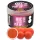 Haldorádó Max Motion Boilie Pop Up Španělský arašíd 50gr 16-20mm Boilie