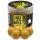 Haldorádó Max Motion Boilie Namáčený Champion Corn 100gr 20mm Boilie