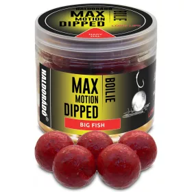   Haldorádó Max Motion Boilie Namáčený Velká ryba 100gr 20mm Boilie