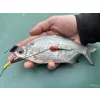Haldorádó Catfish Rig 1 Kombinovaný návazec na sumce Stupekes 100cm