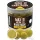 Haldorádó Max Motion Boilie Hard Hook Wafter 16, 20mm Champion Corn nástrahové boilies 100gr