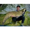 Haldorádó Catfish Rig 9 Pop-Up Násadec s pijavicemi na sumce 100cm