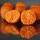 HNV Baits Fruits & Nuts Soluble Big Balls Hookbaits 30mm Rozpustné Návazcové Boilies 165gr