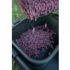 Korum Eva Bait Station EVA Taška na návnady