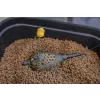 Korum Camo Grub Feeder Krmítko na červy 30gr